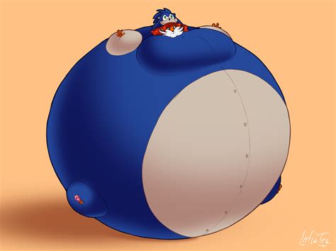 sonic inflation|sonic inflation joke.